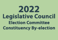 2022 Legislative Council Election Committee Constituency By-election Nomination Period